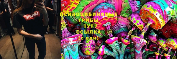 mix Новозыбков