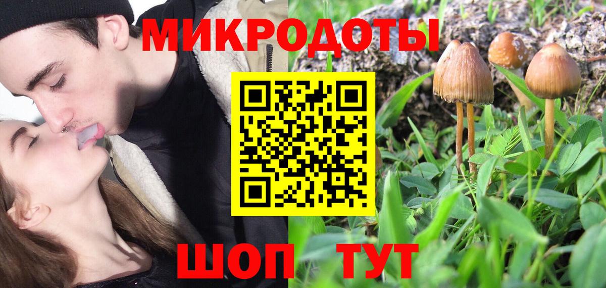 Галлюциногенные грибы Psilocybe  Вход с VPN  цена наркотик  Кизляр 