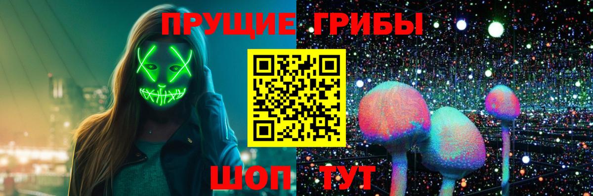Галлюциногенные грибы Cubensis Кизляр